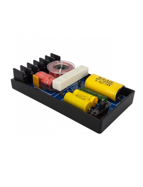 Filtru divizor de frecventa 2 cai auto - 200 W